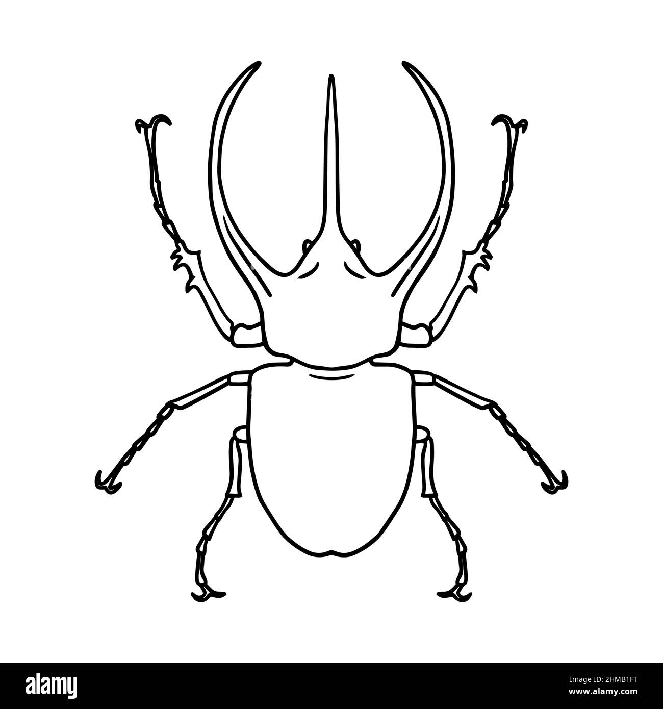 Dibujos De Escarabajo Para Colorear Vsun