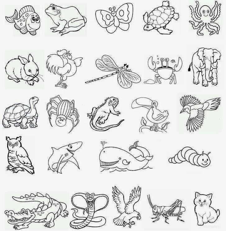 Dibujos de animales acuaticos terrestres aereos para colorear