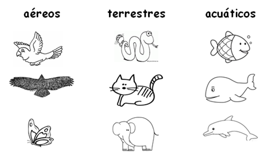 Dibujos de animales acuaticos terrestres aereos para colorear