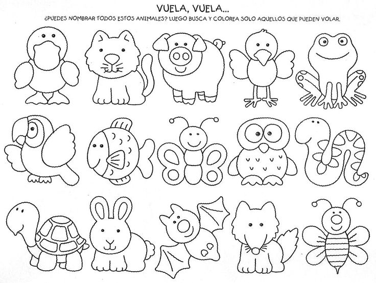 Dibujos de animales acuaticos terrestres aereos para colorear