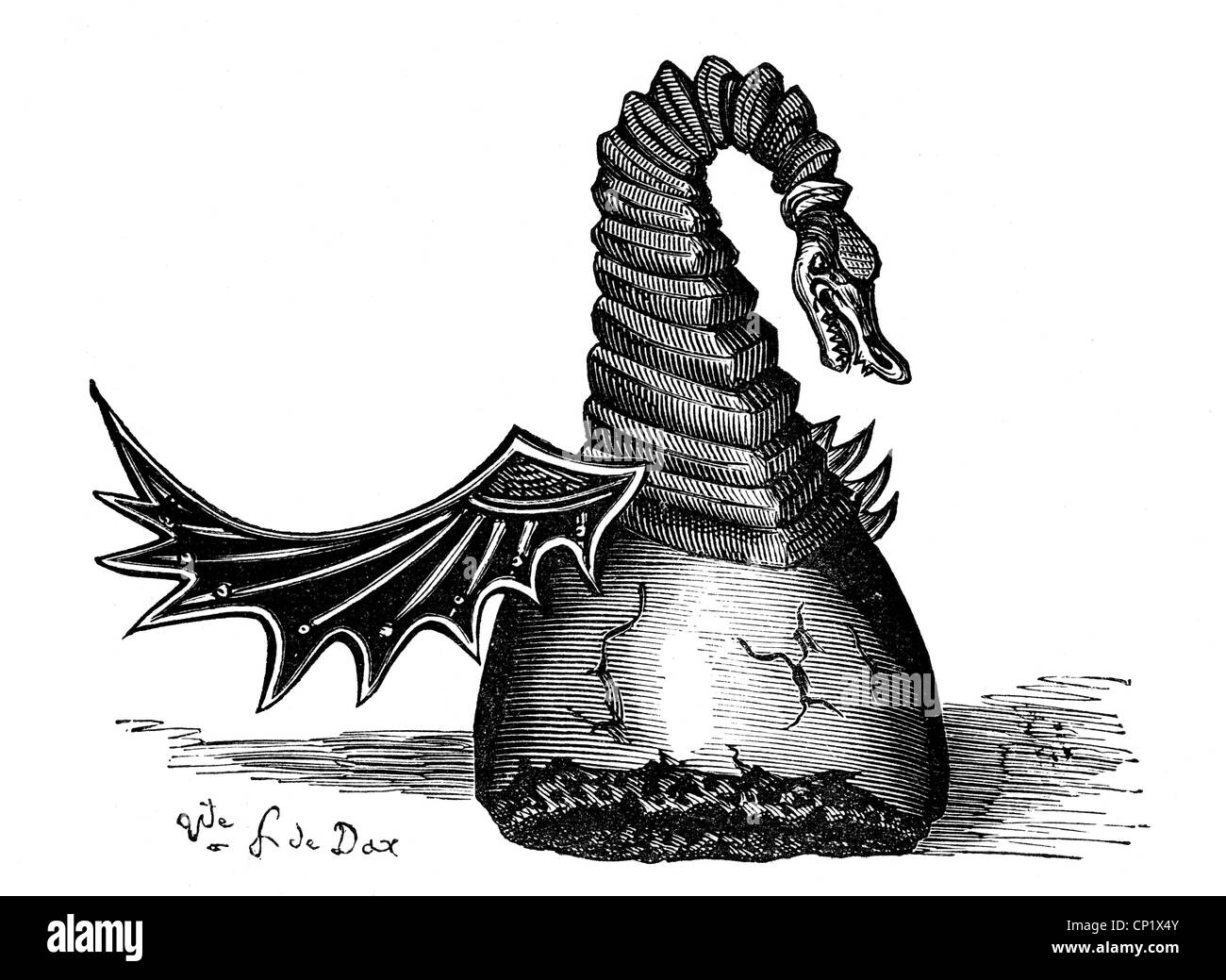 Dibujos de escudo jaume para colorear