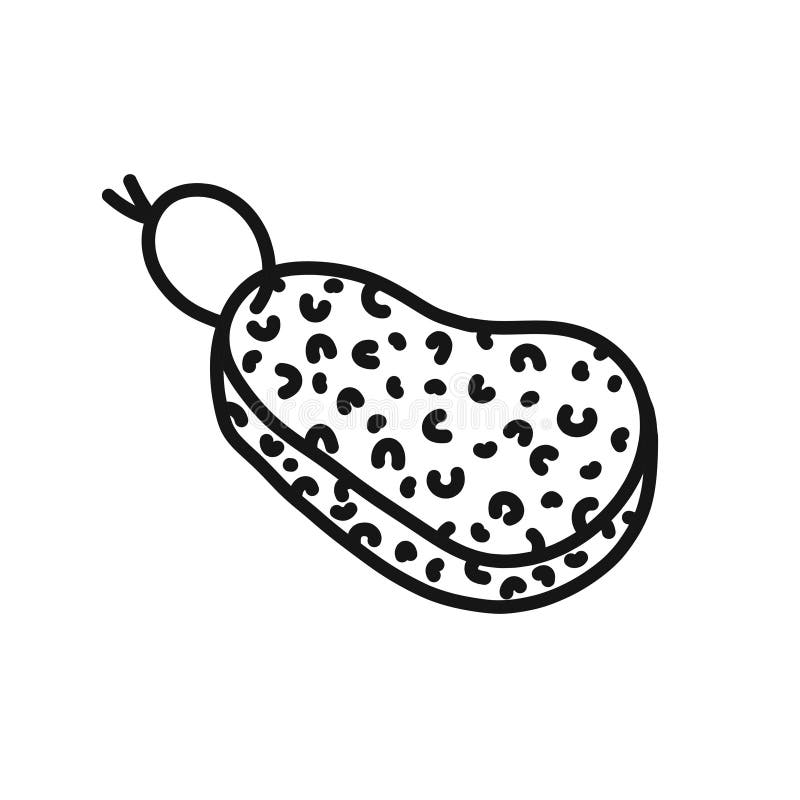 Dibujos de esponja baño para colorear