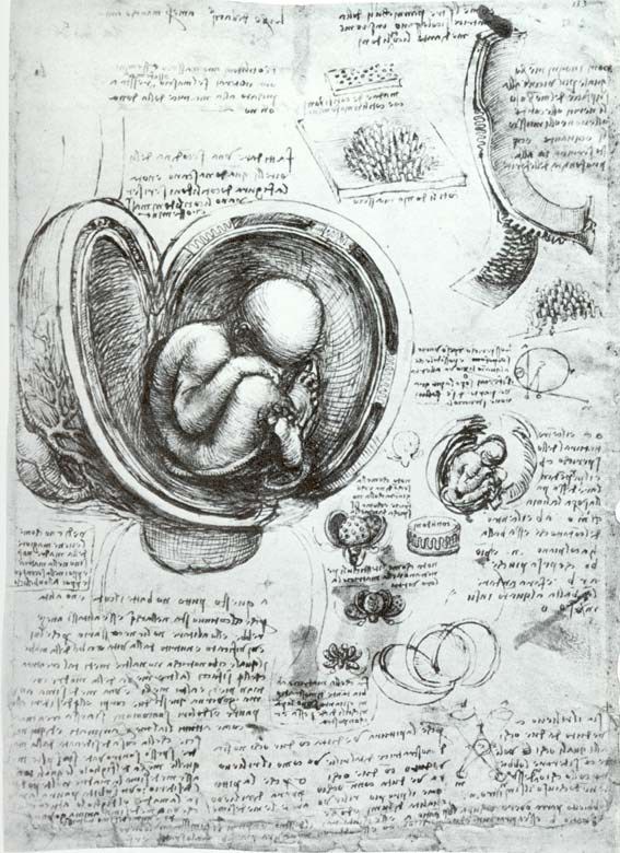 Dibujos de inventos leonardo da vinci para colorear